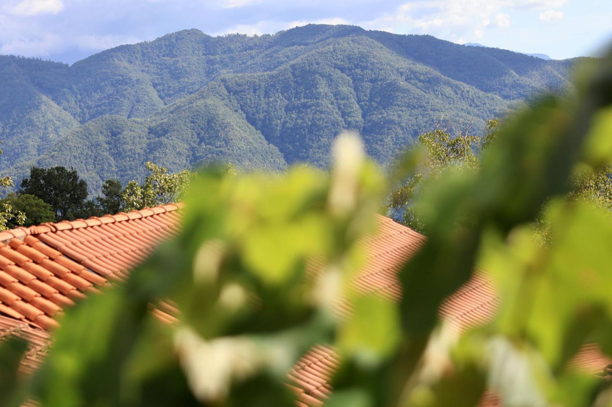 Agriturismo Montagna Verde Apella Licciana Nardi Exterior photo